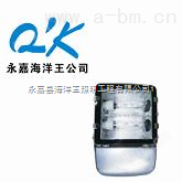 海洋王灯具光源电器供应 海洋王*-节能型热启动泛光灯 NFC9131厂家报价